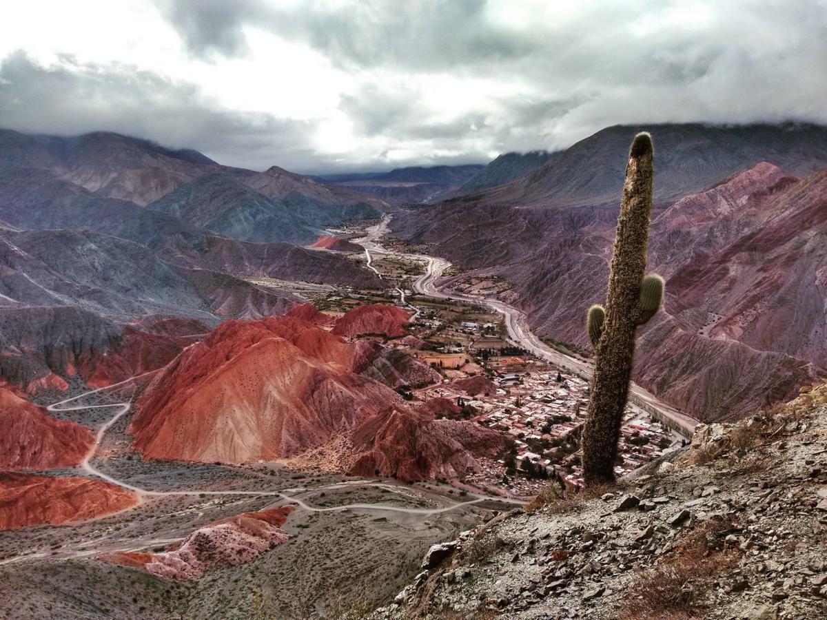 Las Vicunas Departamentos ปูร์มามาร์กา ภายนอก รูปภาพ