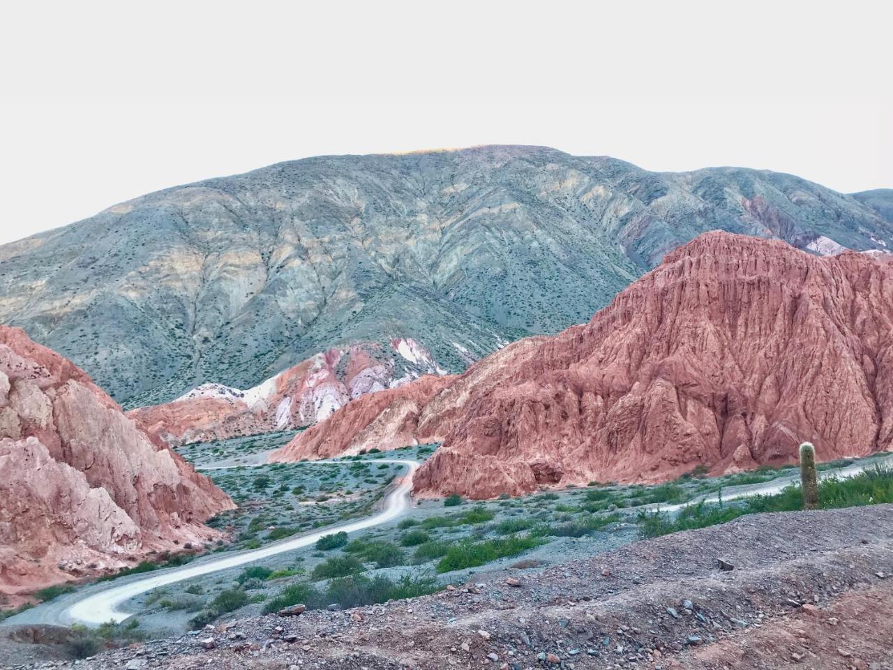 Las Vicunas Departamentos ปูร์มามาร์กา ภายนอก รูปภาพ