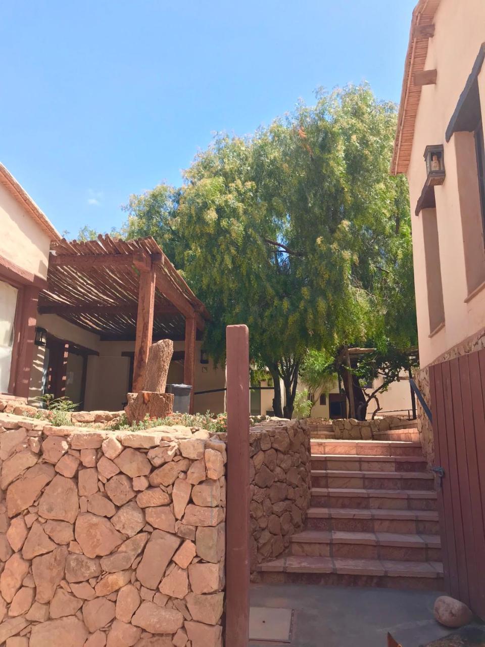 Las Vicunas Departamentos ปูร์มามาร์กา ภายนอก รูปภาพ